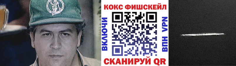 COCAIN FishScale  купить наркотик  Дно 