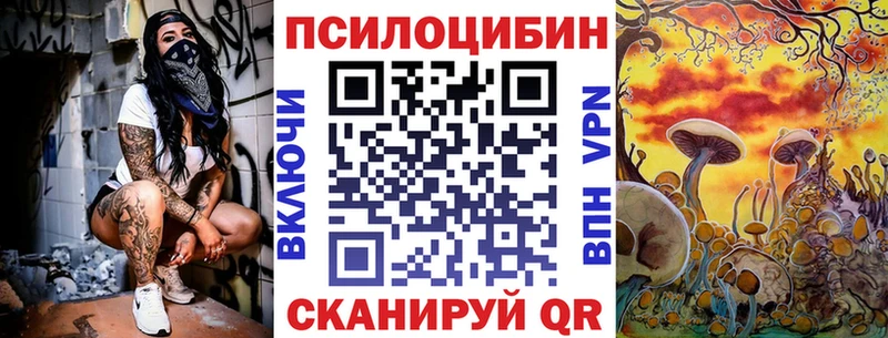 Псилоцибиновые грибы Psilocybe  kraken зеркало  Дно 